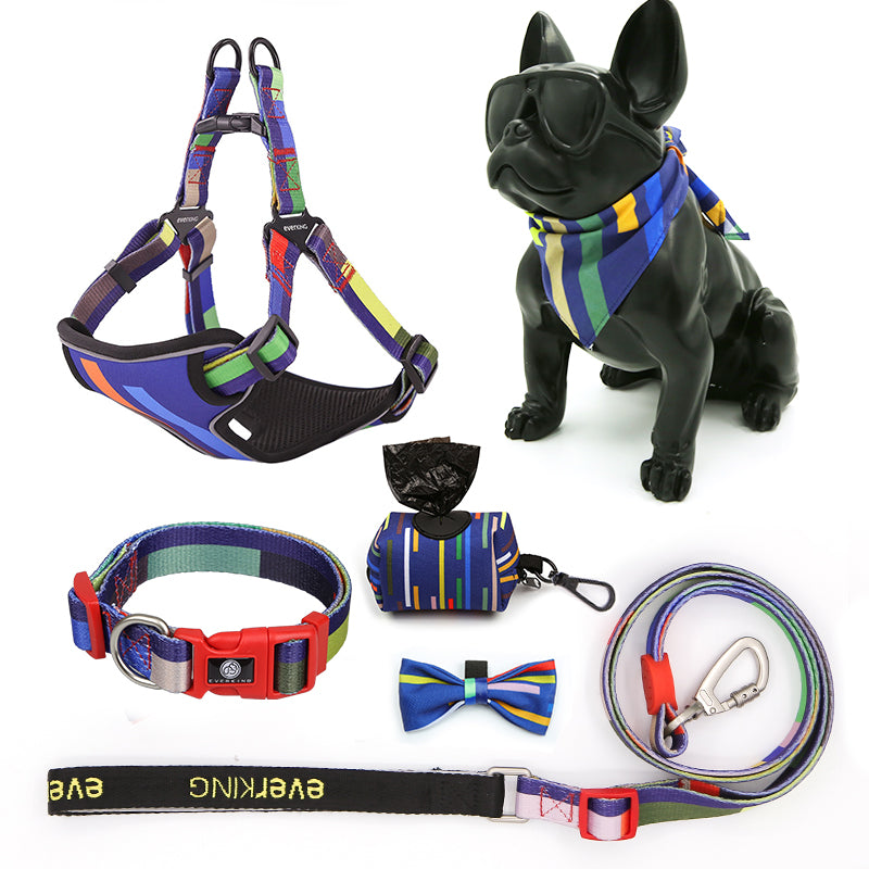 Blue striped dog leash collar set of 7 pieces