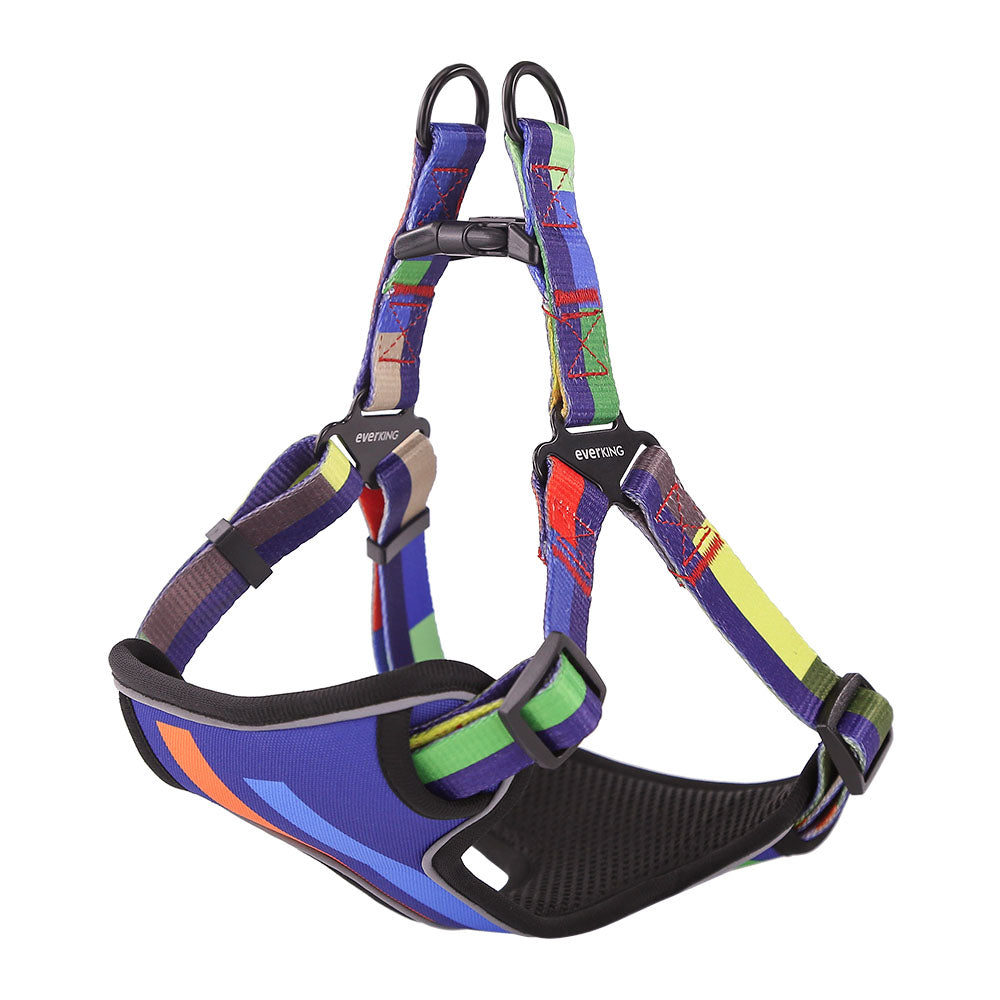 Blue striped dog leash collar set of 7 pieces