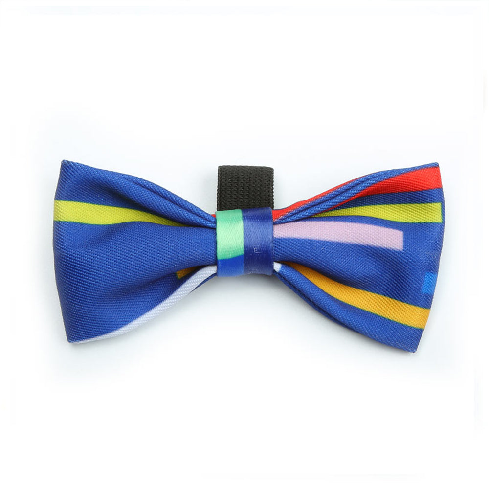 Blue striped dog leash collar set of 7 pieces