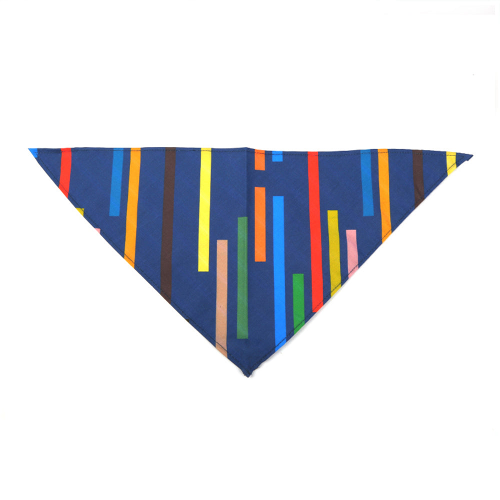 Blue striped dog leash collar set of 7 pieces