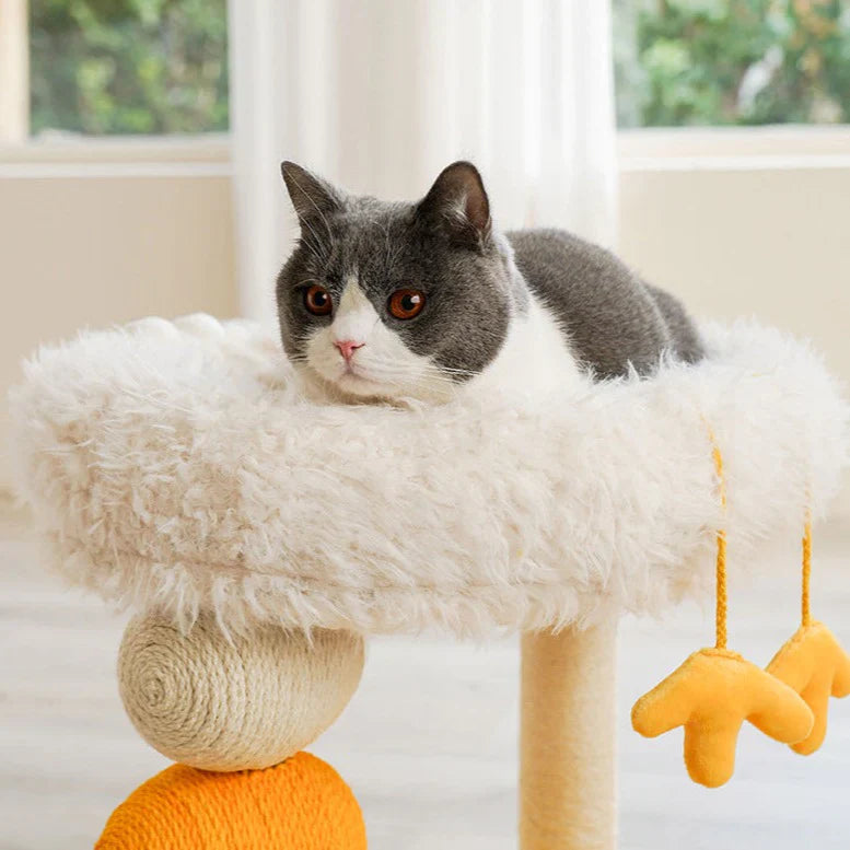 Zeze- Cat Tree Cat Bed Cat Scratch Post-Hen Roost